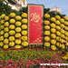 Duong Nguyen Photo 48