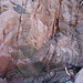 Richard Grahn Photo 12