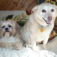Donna Newcombe Photo 6