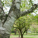 Paul Lang Photo 49