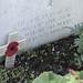 George Corbett Photo 32