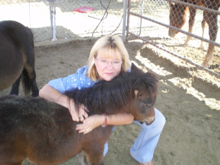 Sue Davis Photo 5