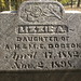 Elizabeth Redmond Photo 33