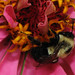 Sandra Keene Photo 16