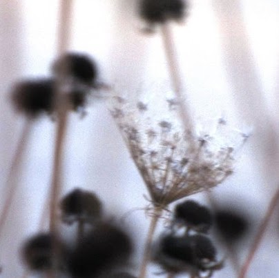 Heather Tobin Photo 31