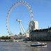 Ferris Robertson Photo 7