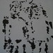 Andy Swartz Photo 6