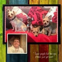 Janice Woodward Photo 15