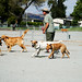 Bob Pack Photo 20