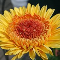 Ann Busby Photo 26