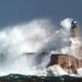 Gale Harper Photo 11