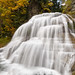Robert Low Photo 32