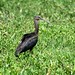 David Shackleford Photo 26