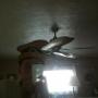 Scott Perdue Photo 25