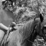 Rachael Mcdaniel Photo 19