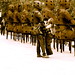 Stephen Duda Photo 16