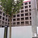 Steven Loop Photo 9