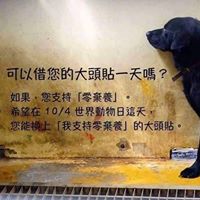 Lang Chen Photo 8