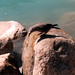 Jay Lake Photo 7