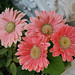 Donna Gerber Photo 10
