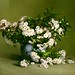 Charles Porter Photo 48