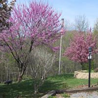 Shirley Haines Photo 26