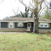 Allen Cohn Photo 16