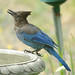 Jay Hatch Photo 33