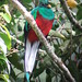 Melvin Fernandez Photo 16