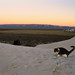 Victor White Photo 23