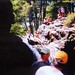 Tom Shackelford Photo 12
