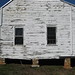 Lisa Shrum Photo 3