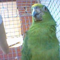 Cassandra Mohammed Photo 2