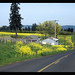 Scott Paul Photo 21