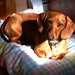 Frankie Short Photo 12
