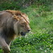Michelle Dudley Photo 48