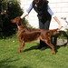 Heather Stack Photo 26