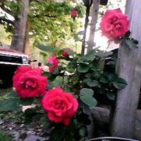 Joan Garland Photo 7