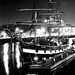 Anthony Johnston Photo 15