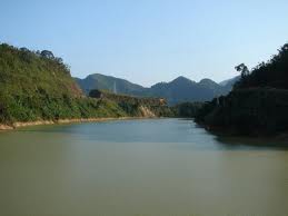 Lan Dinh Photo 7