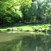 Lisa Mosely Photo 4