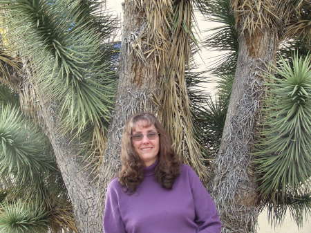Deborah Cobb Photo 12