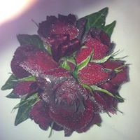 Debra Guthrie Photo 3