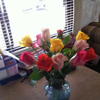 Marlene Webster Photo 8