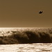 Tommy Downey Photo 19
