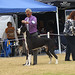 Brian Birt Photo 24