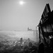Misty Ellis Photo 34