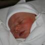 Michael Scheetz Photo 24