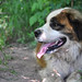 Bert Samples Photo 3
