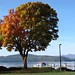 Alene Walter Photo 2